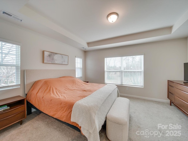 carpeted bedroom with a tray ceiling