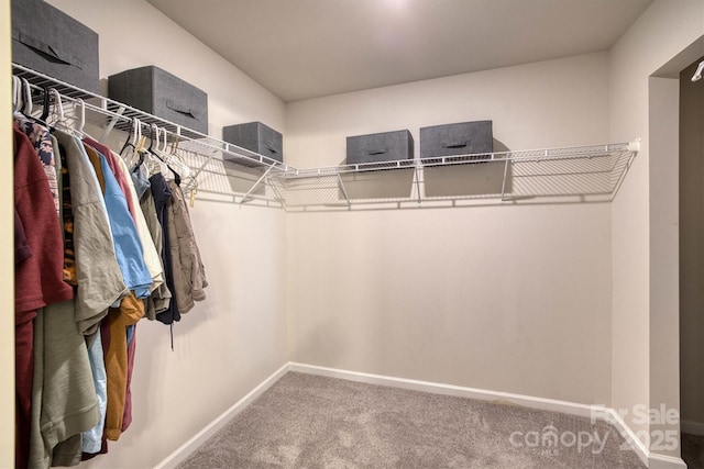 spacious closet with carpet floors