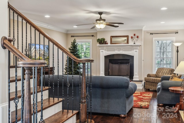 living room with ceiling fan, dark hardwood / wood-style flooring, and ornamental molding