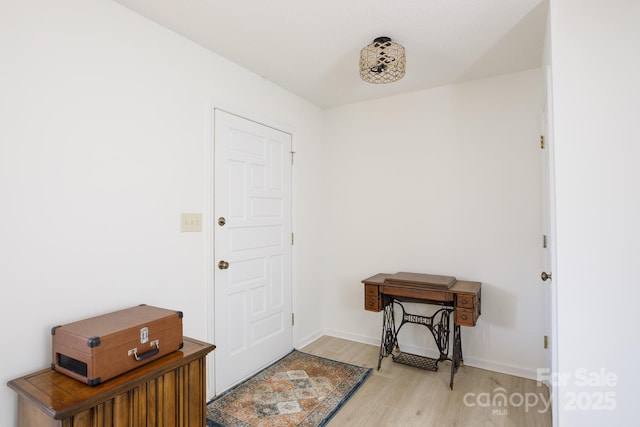 entrance foyer featuring light wood-type flooring