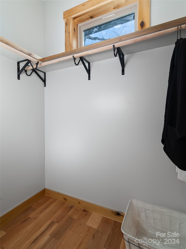 spacious closet featuring wood-type flooring