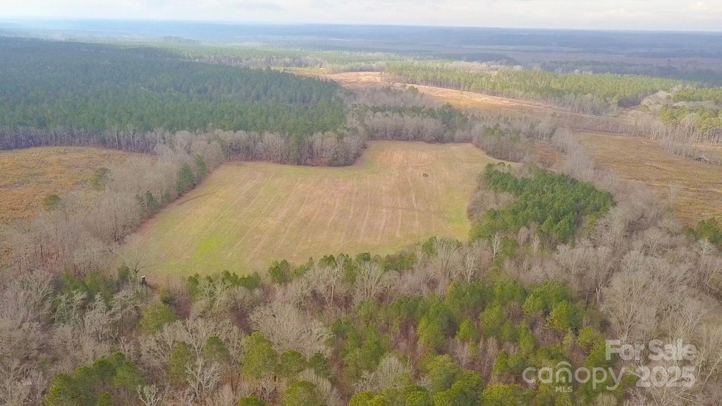000 Mineral Springs Church Rd, Polkton, NC 28135 - photo 1