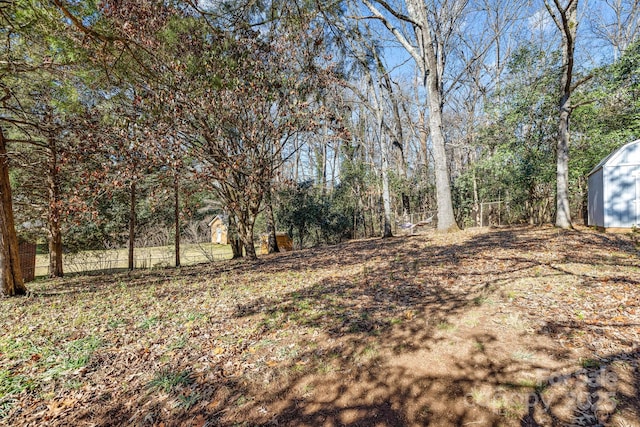 view of yard featuring a shed