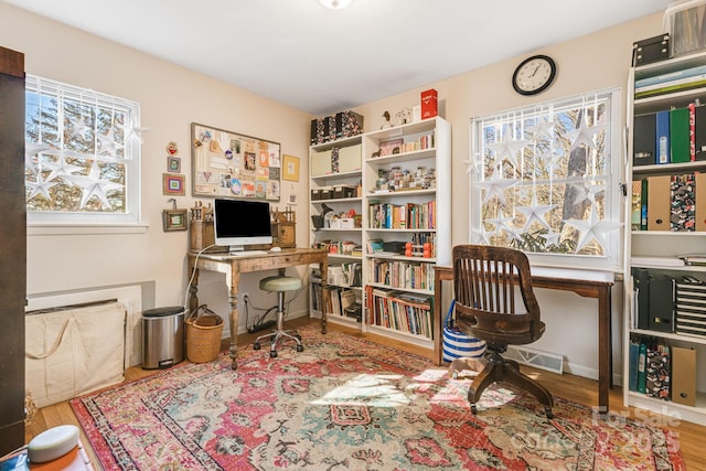 office area featuring wood-type flooring