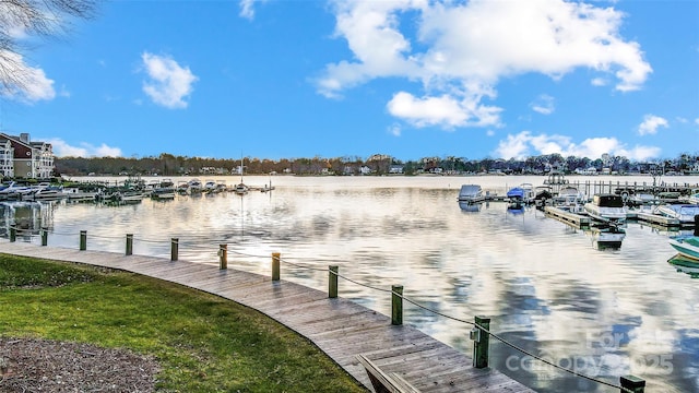 dock area with a water view