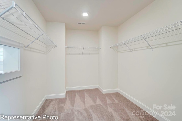 spacious closet with carpet flooring