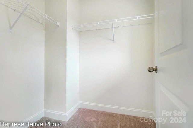 spacious closet featuring carpet flooring