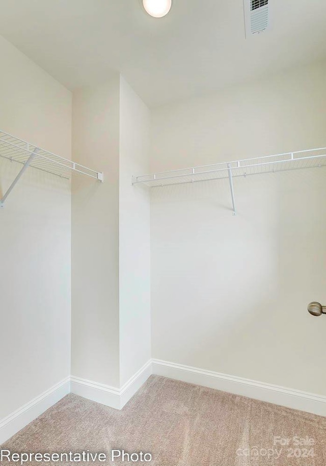 spacious closet with carpet