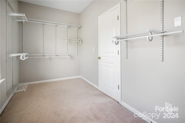 walk in closet featuring light colored carpet