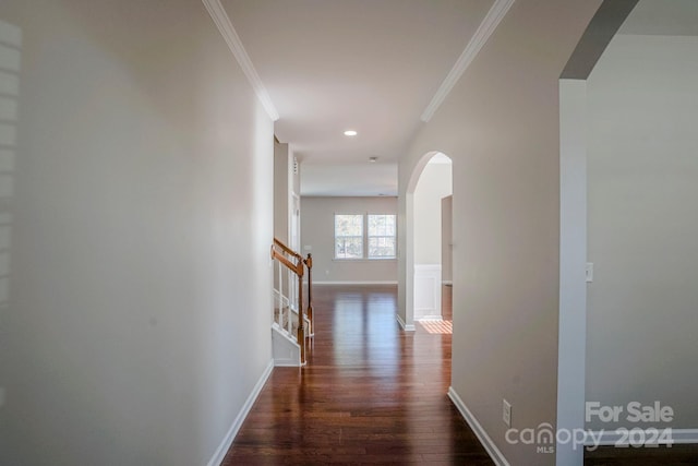 corridor featuring crown molding and dark wood-type flooring