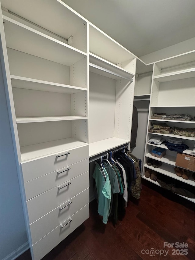 spacious closet with dark hardwood / wood-style flooring