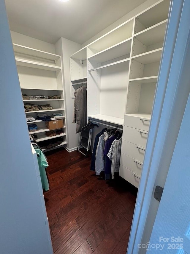 walk in closet with dark hardwood / wood-style floors