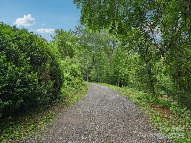 51 Sunset Dr, Asheville, NC 28806 - photo 29
