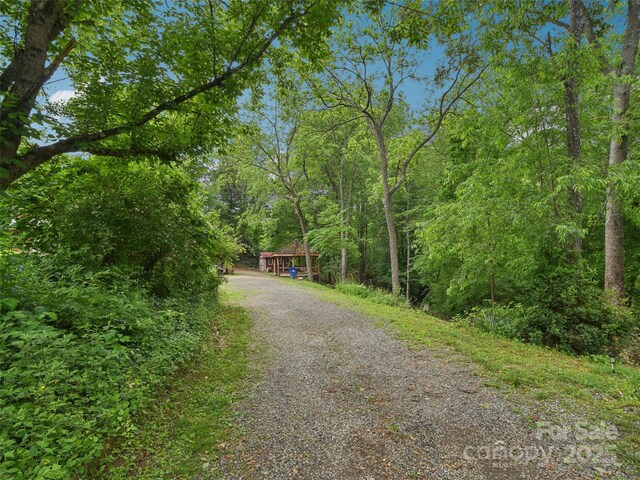 51 Sunset Dr, Asheville, NC 28806 - photo 30