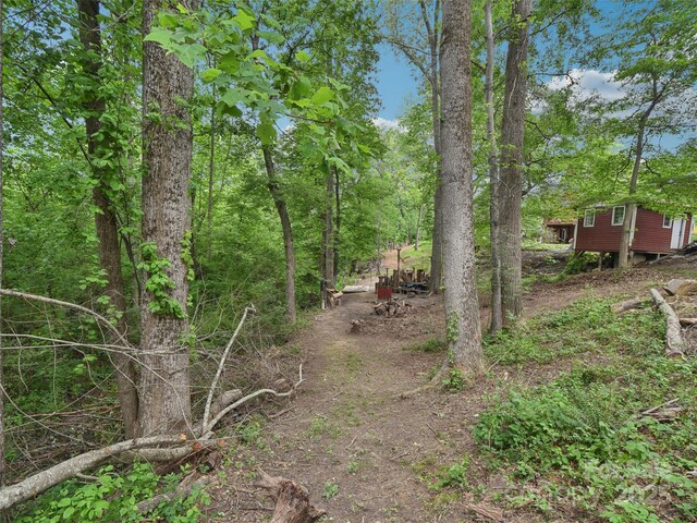 51 Sunset Dr, Asheville, NC 28806 - photo 33