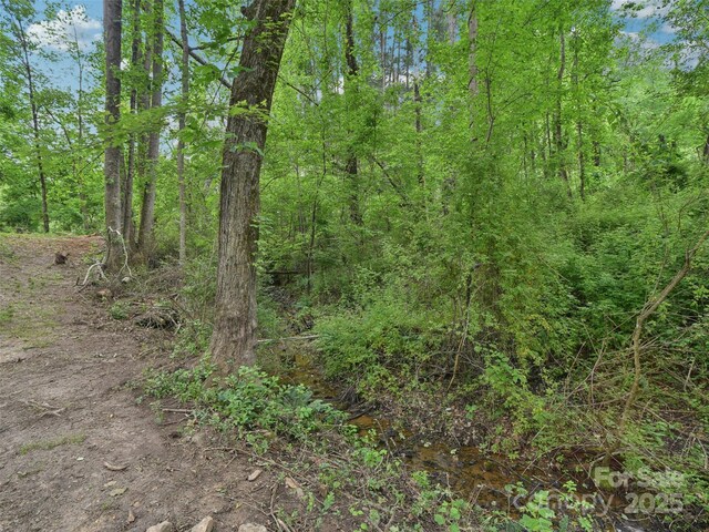51 Sunset Dr, Asheville, NC 28806 - photo 34