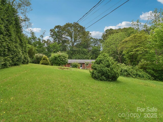 51 Sunset Dr, Asheville, NC 28806 - photo 38