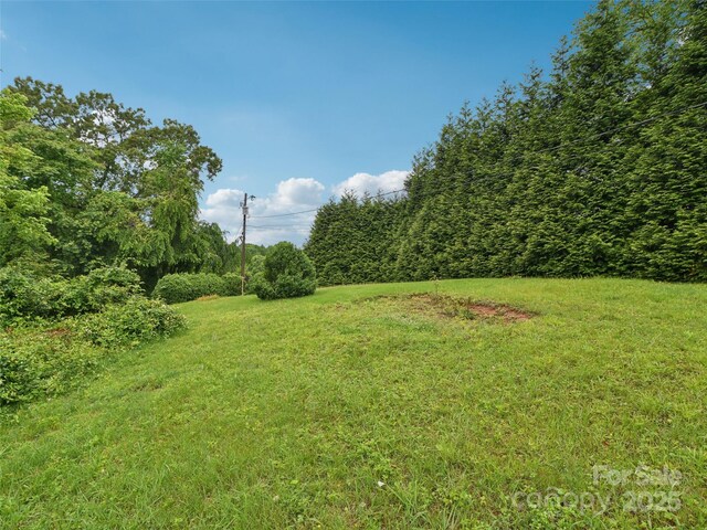 51 Sunset Dr, Asheville, NC 28806 - photo 39