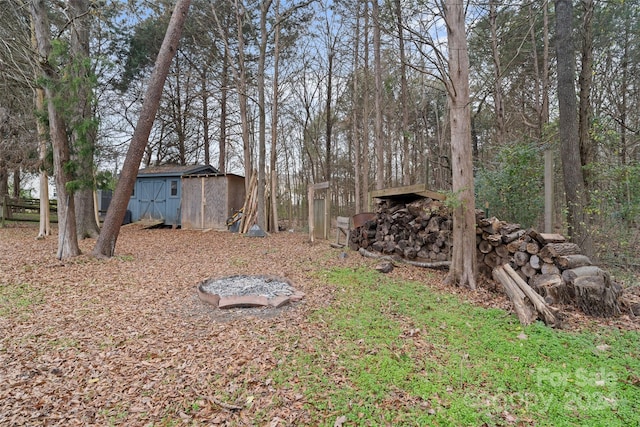 view of yard with a shed