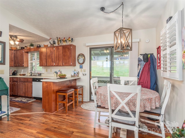 dining area with a textured ceiling, ceiling fan with notable chandelier, dark hardwood / wood-style flooring, and sink