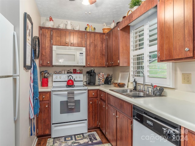 kitchen featuring a textured ceiling, white appliances, hardwood / wood-style flooring, and sink