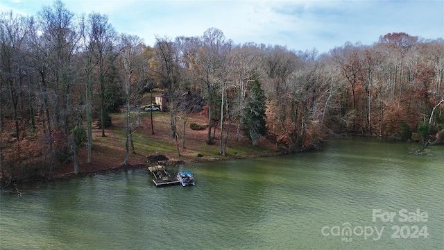 water view with a dock