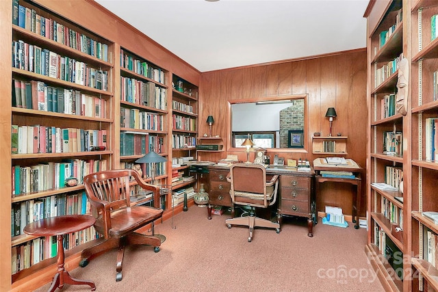 office with carpet and wood walls