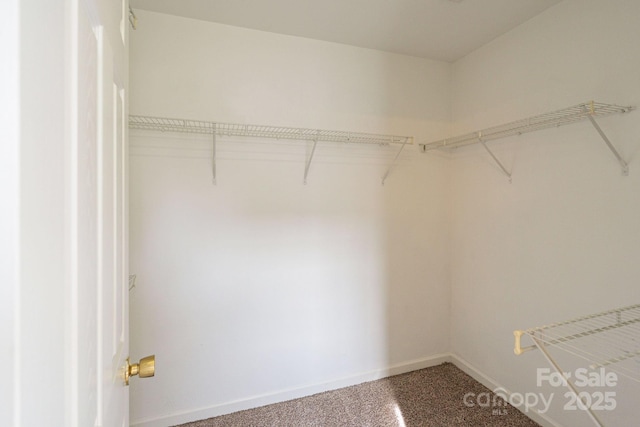 spacious closet with carpet flooring