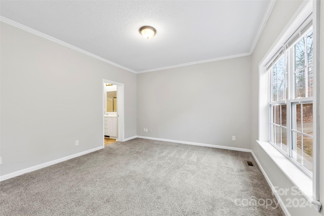 spare room with a textured ceiling, carpet floors, and ornamental molding