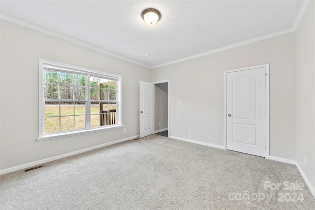 spare room with light colored carpet and ornamental molding