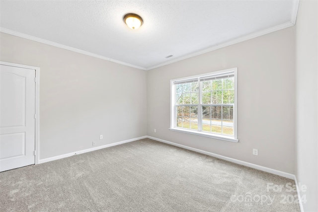 spare room with carpet flooring and crown molding