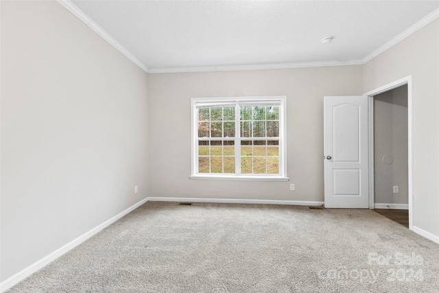 empty room with carpet and ornamental molding