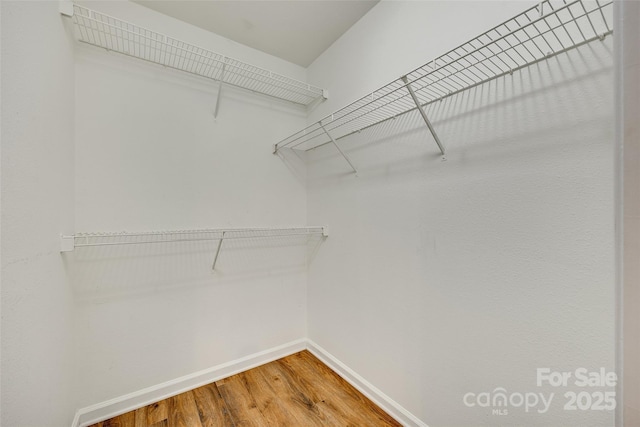 walk in closet with hardwood / wood-style flooring