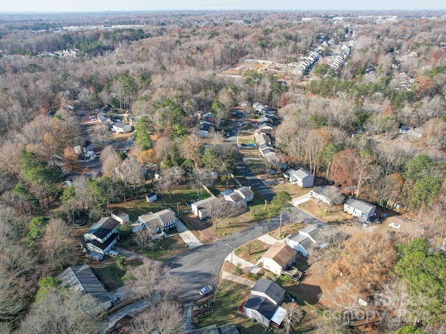 bird's eye view