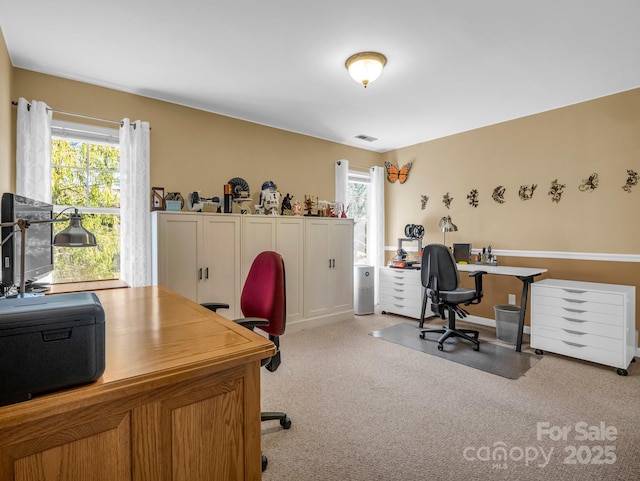 office area featuring a wealth of natural light and light carpet