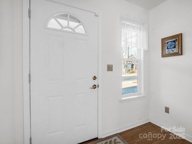 entryway featuring dark wood-type flooring and a wealth of natural light