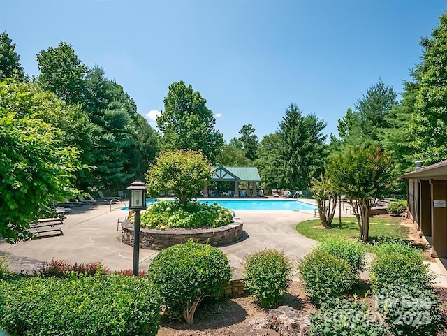 view of swimming pool with a patio area