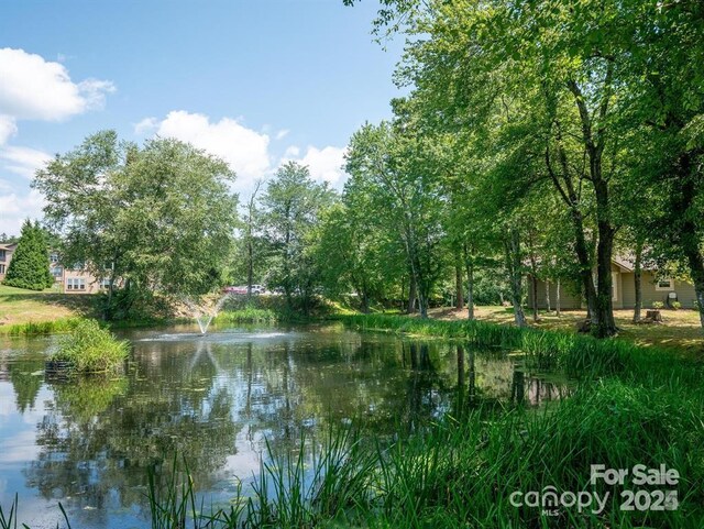 property view of water