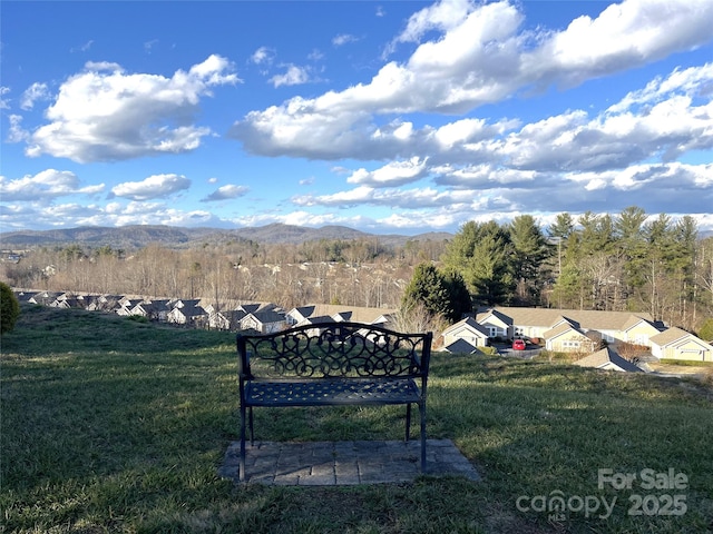 24 Gray Wolf Ln, Hendersonville, NC 28792 - photo 46