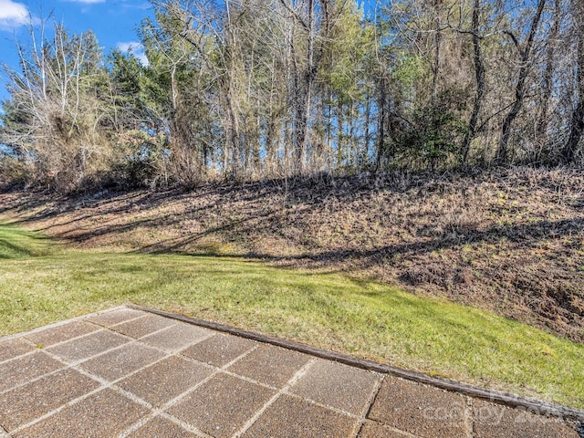24 Gray Wolf Ln, Hendersonville, NC 28792 - photo 32
