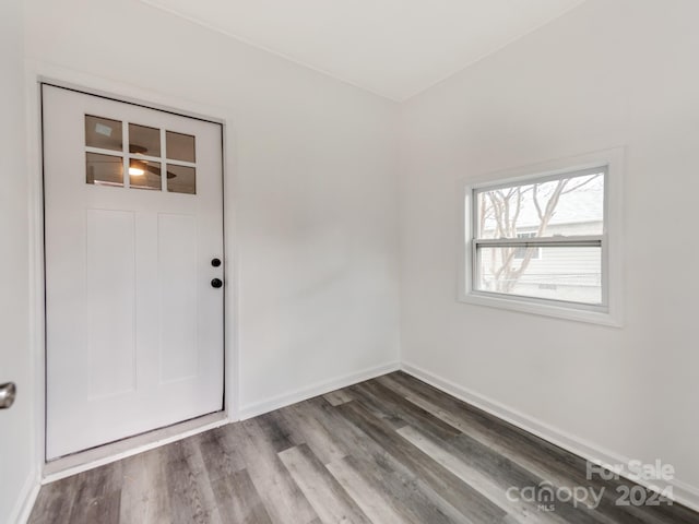 foyer entrance with hardwood / wood-style flooring