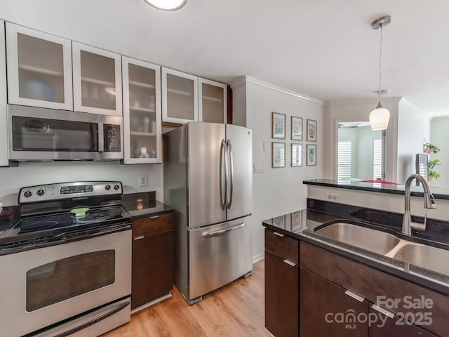 kitchen featuring light hardwood / wood-style flooring, decorative light fixtures, stainless steel appliances, dark brown cabinets, and sink