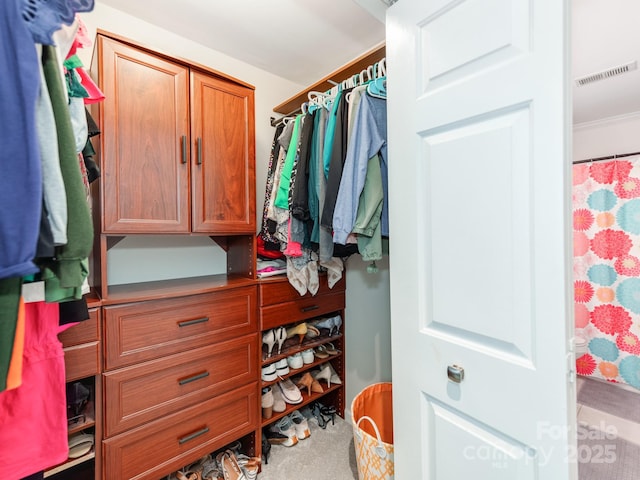 view of spacious closet