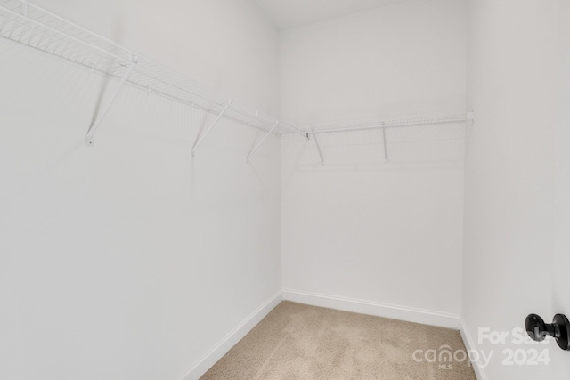 spacious closet with carpet flooring