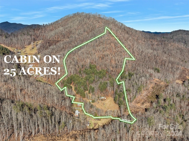 292 Crow Ln, Burnsville NC, 28714 land for sale