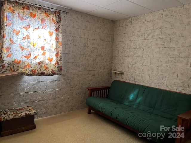 unfurnished room featuring a drop ceiling and carpet