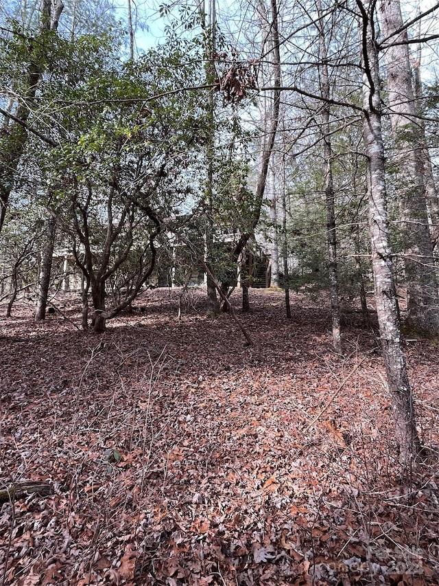 view of local wilderness