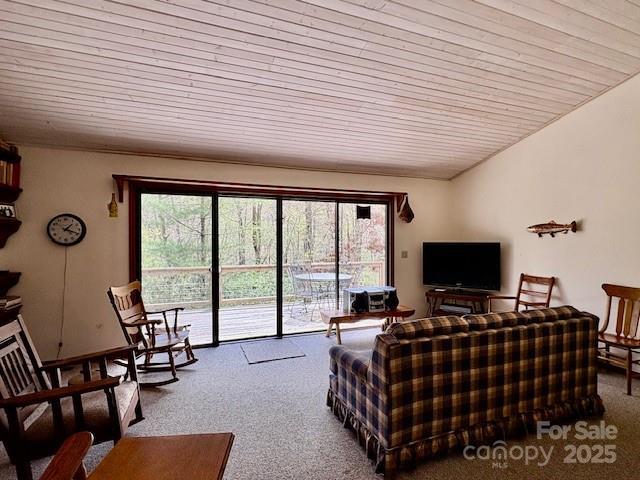 585 Purple Finch Rd, Brevard, NC 28712 - photo 3