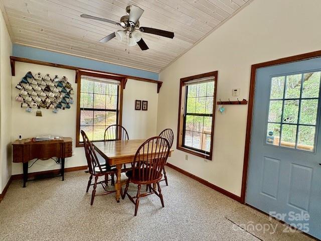 585 Purple Finch Rd, Brevard, NC 28712 - photo 4