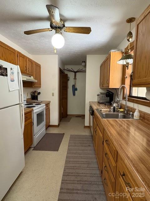 585 Purple Finch Rd, Brevard, NC 28712 - photo 5